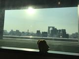 画像: 今日の『はぐたす』!!