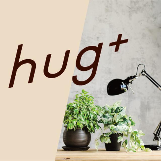 画像: 4月24日の『hug+』!!