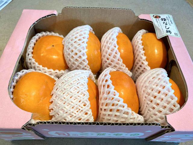 画像: 本日のプレゼント!!