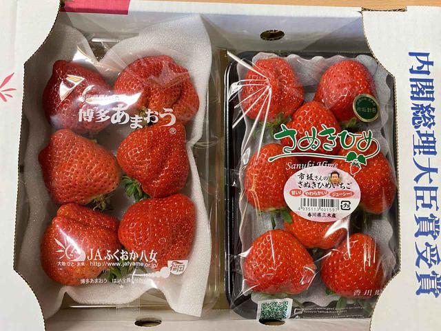 画像: 今日は 【「市坂さんのさぬき姫 苺」と「あまおう」の食べ比べセット】 を3名様にプレゼント!