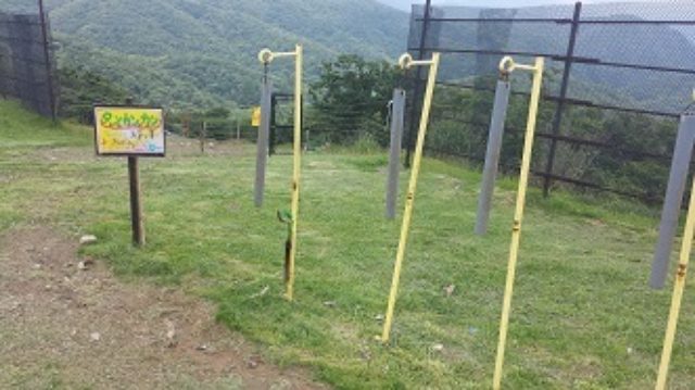 画像: ↑前田さんが鳴らしていた「となりのトトロ」はこちらでしたー↑