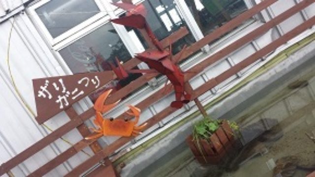 画像2: 7月31日:びわ湖バレイ 彩名の山ガール通信♩