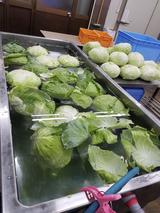 画像1: 今回は大阪王の餃子のおいしさの秘密に迫ろう! ということで大阪市鶴見区にある 大阪王 製造工場直売店を取材させていただきました!