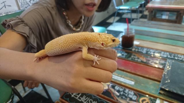 画像2: 8/3 MEGAアクティブ!