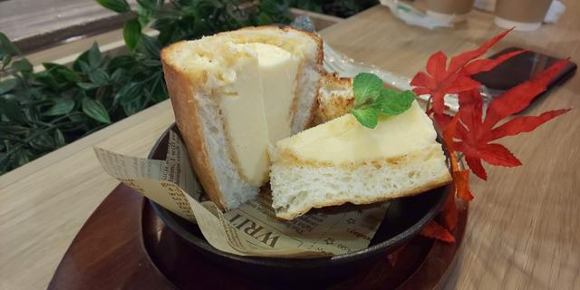 画像5: 11/9 MEGAアクティブ!