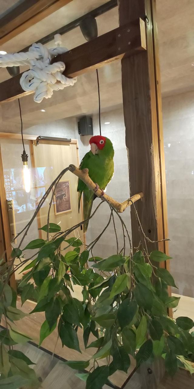 画像9: 11/9 MEGAアクティブ!