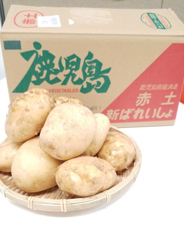 画像: ※写真はイメージです。