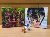 画像: ももクロドーム