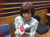 画像: 左から、「りんごとり」「はりねずみ」「よるくじら」。新たな三姉妹をよろしく~
