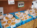 画像32: 45年ぶりのSL走行&隼駅に行ってきました! 【その1】(のん)