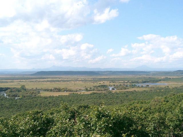 画像: (写真は釧路湿原)