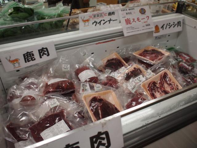 画像33: 45年ぶりのSL走行&隼駅に行ってきました! 【その1】(のん)
