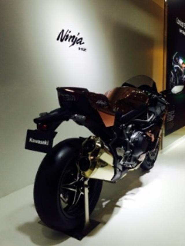 画像13: <理子のいまさらTMS2015>Ninja ZX-10R ABS (福山理子)