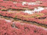画像5: <寺崎愛のグロム修業>帰省ツーリング・北の国から2015 編 (その3)