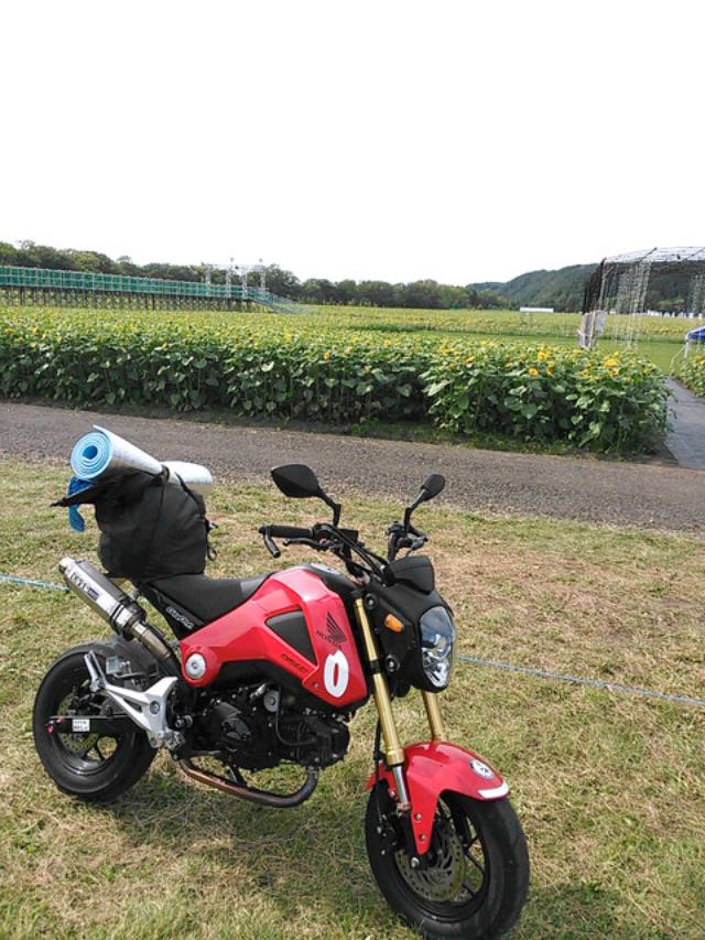 画像3: <寺崎愛のグロム修業>帰省ツーリング・北の国から2015 編 (その3)