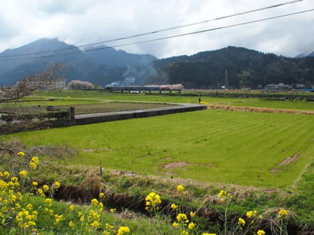 画像3: 45年ぶりのSL走行&隼駅に行ってきました! 【その3】(のん)