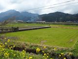 画像3: 45年ぶりのSL走行&隼駅に行ってきました! 【その3】(のん)