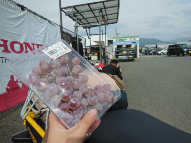 画像: 待機中に、隣接しているスーパーで「甲州ぶどう」を購入。