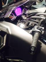 画像4: 福山理子の“いまさらモーターサイクルショー2014” (その1)