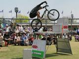 画像: (しっかし、なんでこの高さに自転車が登れるんでしょうか…。 私は高所恐怖症なので、普通に上がるのも難しいです)