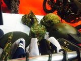 画像4: 福山理子の“いまさらモーターサイクルショー2014” (その13)