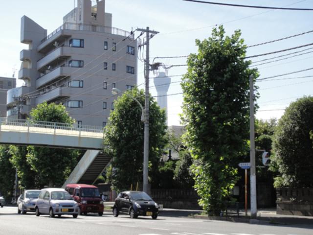 画像3: <1週間インプレッション>SUZUKI Let's4 4日目