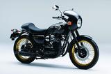 画像2: <1週間インプレッション>KAWASAKI W800 1日目
