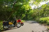 画像1: <1週間インプレッション>HONDA GROM 7日目(その2)