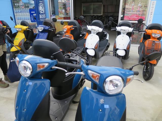 画像5: 伊豆大島をレンタルバイクでツーリングしよう!