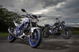 画像: 「大都会のチーター」をテーマに、ストリートを快活に駆けるスポーツバイクとして開発されたMT-25。同時に登場した兄弟車のMT-03と共通のスタイリングは兄貴分のMT-09や07のエッセンスも取り入れたもの。