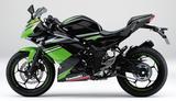 画像3: KAWASAKI Ninja 250SL ABS KRT Edition (ライムグリーン×エボニー) ■価格:52万3800円 ■発売予定日:2016年5月15日