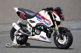 画像2: HRC グロム(レースベース車・ショー展示車両)全部見せ!