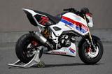 画像4: HRC グロム(レースベース車・ショー展示車両)全部見せ!