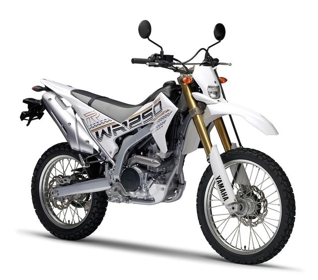 画像: Y040 YAMAHA WR250R ■価格:72万1440円 「オフロードのR1」を目指し、アルミフレームや高精度な前後サス、最高出力31PSという249cc水冷単気筒エンジンなど、贅沢なメカニズムを採用。今も国内向けオフロード車屈指の高性能を誇っている。