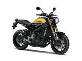 画像: Y016 YAMAHA XSR900/60th Anniversary ■価格:104万2200円/107万4600円 (60th Anniversary) 共通コンポーネンツを採用するMT-09、MT-09トレーサーに続く第3弾モデル。「ザ・パフォーマンス・レトロスター」をコンセプトに、レトロなスタイルに最新技術を取り入れた高いパフォーマンスを合体させたロードスポーツだ。60周年記念モデルは受注期間限定。