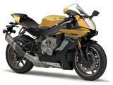 画像: Y005 YAMAHA YZF-R1 ■価格:243万(ブルー)/ 237万6000円(黄) レースでの戦闘力向上やサーキット走行を重視し、「High tech armed pure Sport」がコンセプトに昨年フルモデルチェンジ。電子制御デバイスを統合制御するヤマハライドコントロールによって、あらゆる状況でポテンシャルを極限まで引き出せる設計。