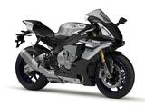 画像: Y006 YAMAHA YZF-R1M ■価格:318万6000円 久々のモデルチェンジでスーパーバイクレースでの勝利を目指してエンジンも車体も一から大変身したYZF-R1をベースに、オーリンズ製電子制御セミアクティブサスやカーボン外装を装着した上級モデル。