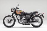 画像2: KAWASAKI W800 Final Edition (キャンディサンストーンチャコール×キャンディサンセットオレンジ)