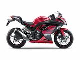 画像2: KAWASAKI Ninja 250 ABS Special Edition(キャンディパーシモンレッド×メタリックスパークブラック) 価格:620,460円