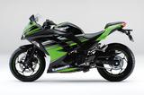 画像2: KAWASAKI Ninja 250 ABS KRT Edition(ライムグリーン×エボニー) 価格:620,460円