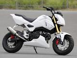 画像1: エンデュランス製は税込み37万2600円(別途車両配送料)!