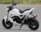 画像4: エンデュランス製は税込み37万2600円(別途車両配送料)!