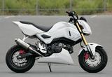 画像2: エンデュランス製は税込み37万2600円(別途車両配送料)!