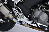 画像1: 品名:Z125PRO用シングルサイドスイングアーム 品番:60788 JAN:4522285607881 価格:275,000円(税抜) 7N01材使用 バフ、アルマイト仕上げ 10月20日発売予定