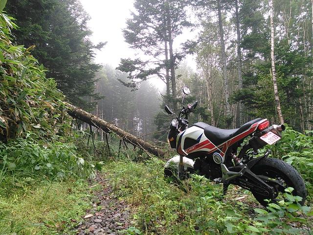 画像7: <GROMで林道>クマに注意!道東林道ツーリング2016編(その2)