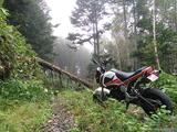 画像7: <GROMで林道>クマに注意!道東林道ツーリング2016編(その2)