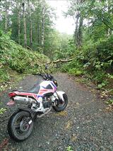 画像14: <GROMで林道>クマに注意!道東林道ツーリング2016編(その2)