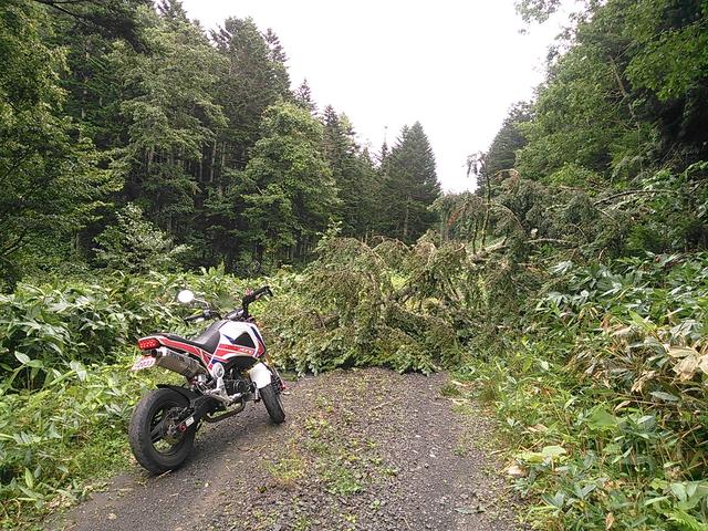 画像6: <GROMで林道>クマに注意!道東林道ツーリング2016編(その2)