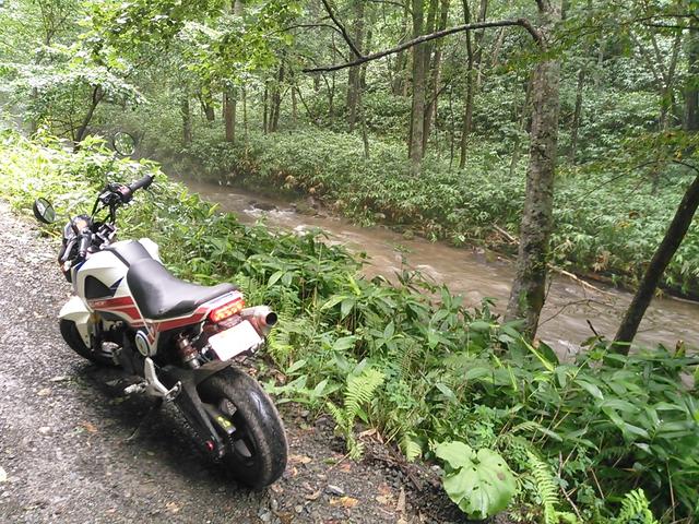 画像11: <GROMで林道>クマに注意!道東林道ツーリング2016編(その2)