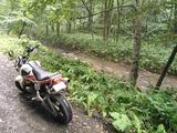 画像11: <GROMで林道>クマに注意!道東林道ツーリング2016編(その2)